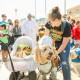 Gallery Picture - octoberfest-dog-in-wagon.jpg